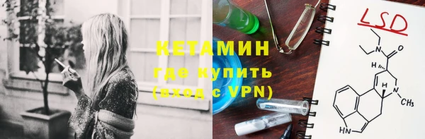 спиды Болотное