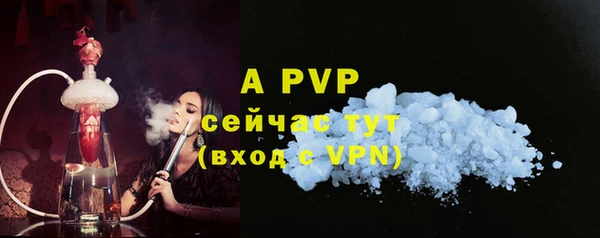 ГАЛЛЮЦИНОГЕННЫЕ ГРИБЫ Покров