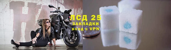 ГАЛЛЮЦИНОГЕННЫЕ ГРИБЫ Покров