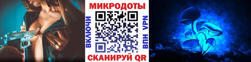 Псилоцибиновые грибы Cubensis  Сокол 